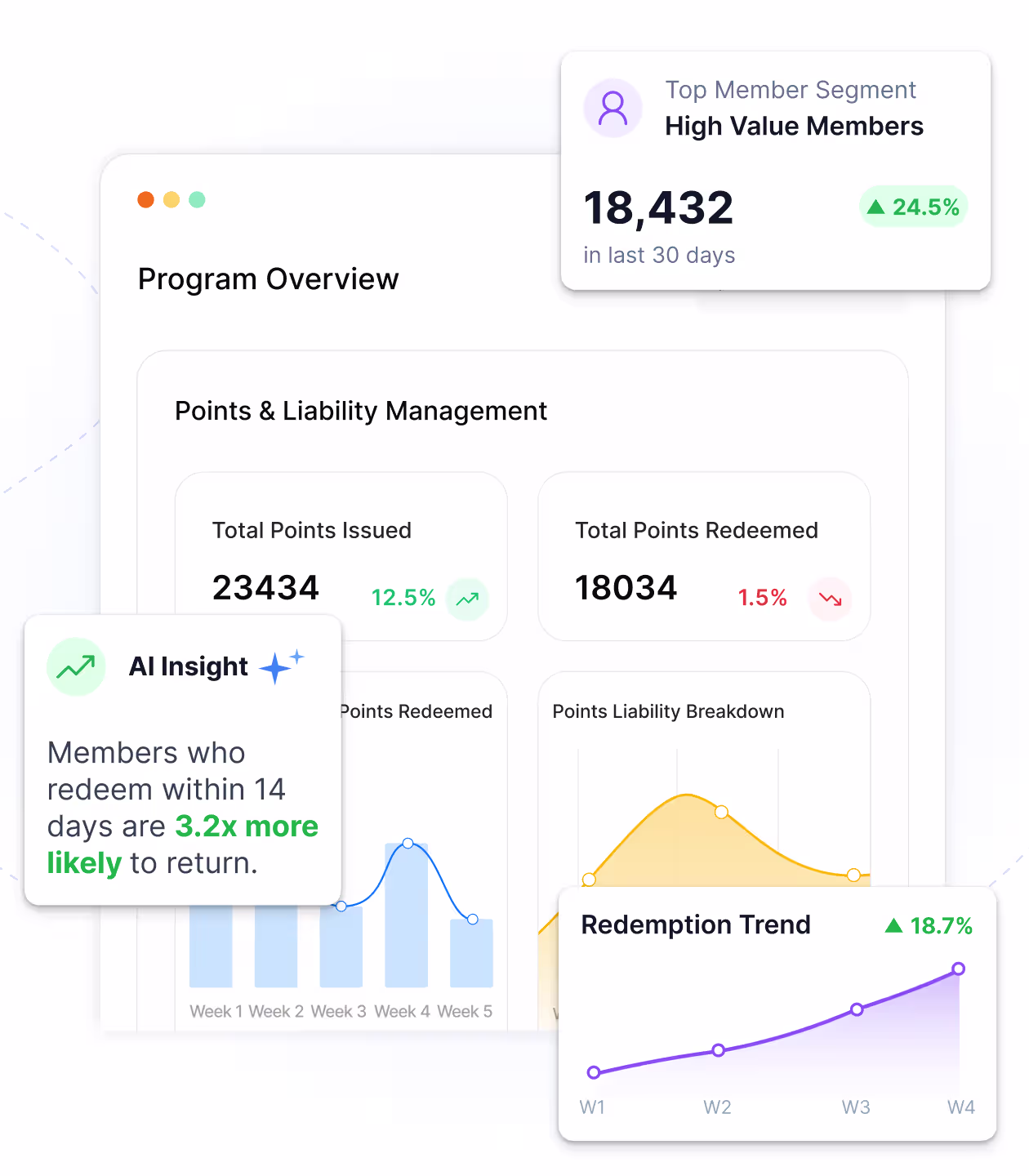 Loyalife reports and insights dashboard