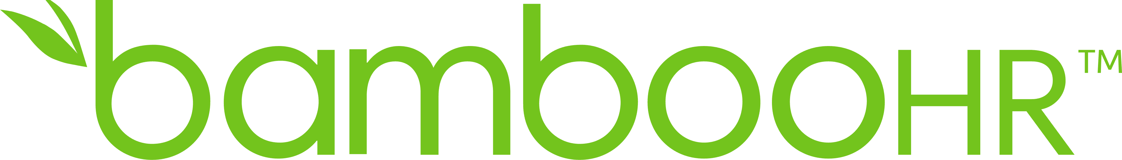 BambooHR